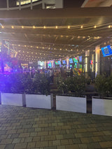 Play Sporting Lounge